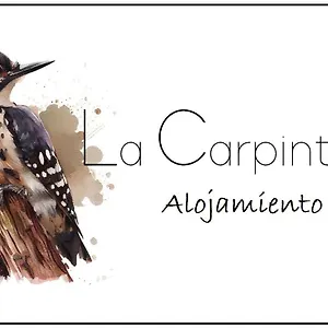“la Carpinteria” Prado Del Rey